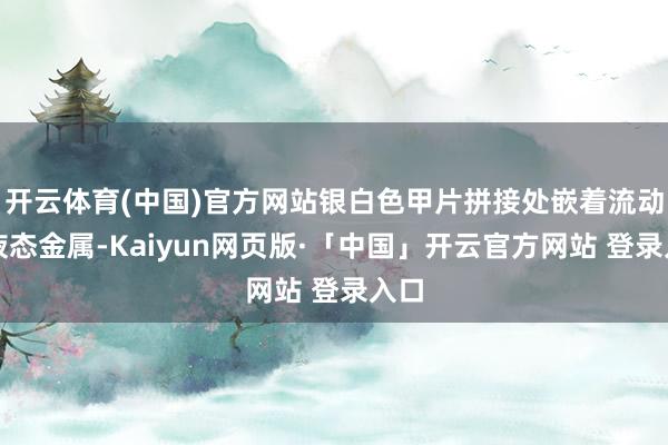 开云体育(中国)官方网站银白色甲片拼接处嵌着流动的液态金属-Kaiyun网页版·「中国」开云官方网站 登录入口