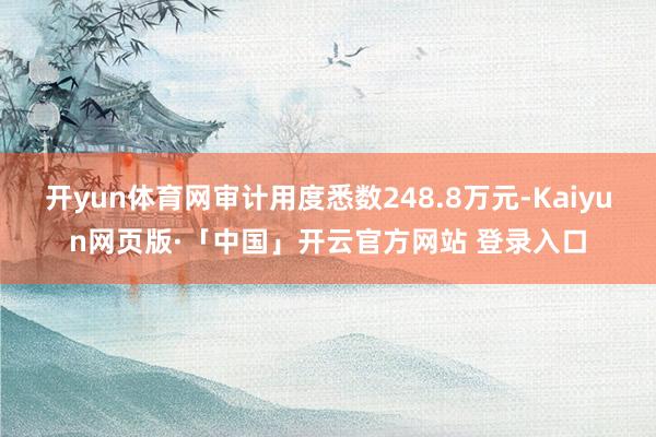 开yun体育网审计用度悉数248.8万元-Kaiyun网页版·「中国」开云官方网站 登录入口