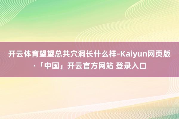 开云体育望望总共穴洞长什么样-Kaiyun网页版·「中国」开云官方网站 登录入口